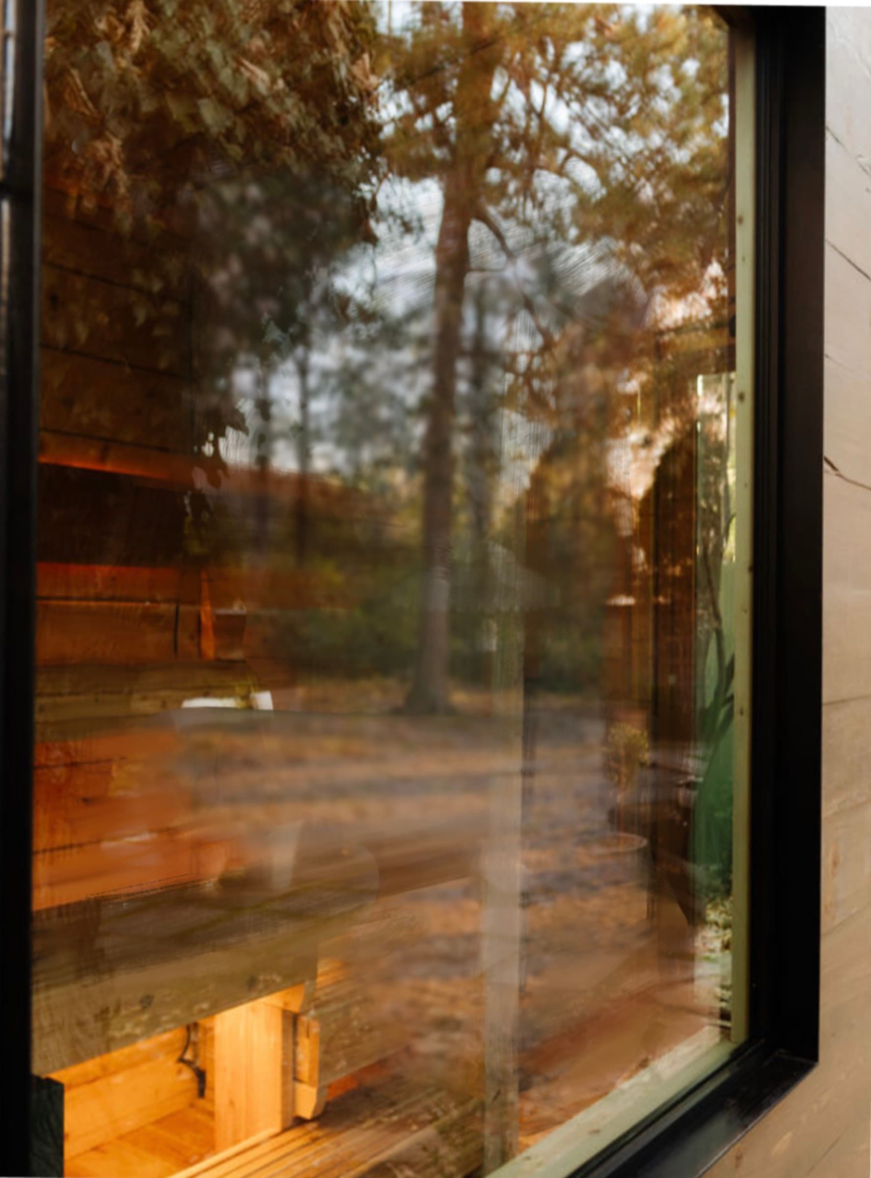 The forest stays in view