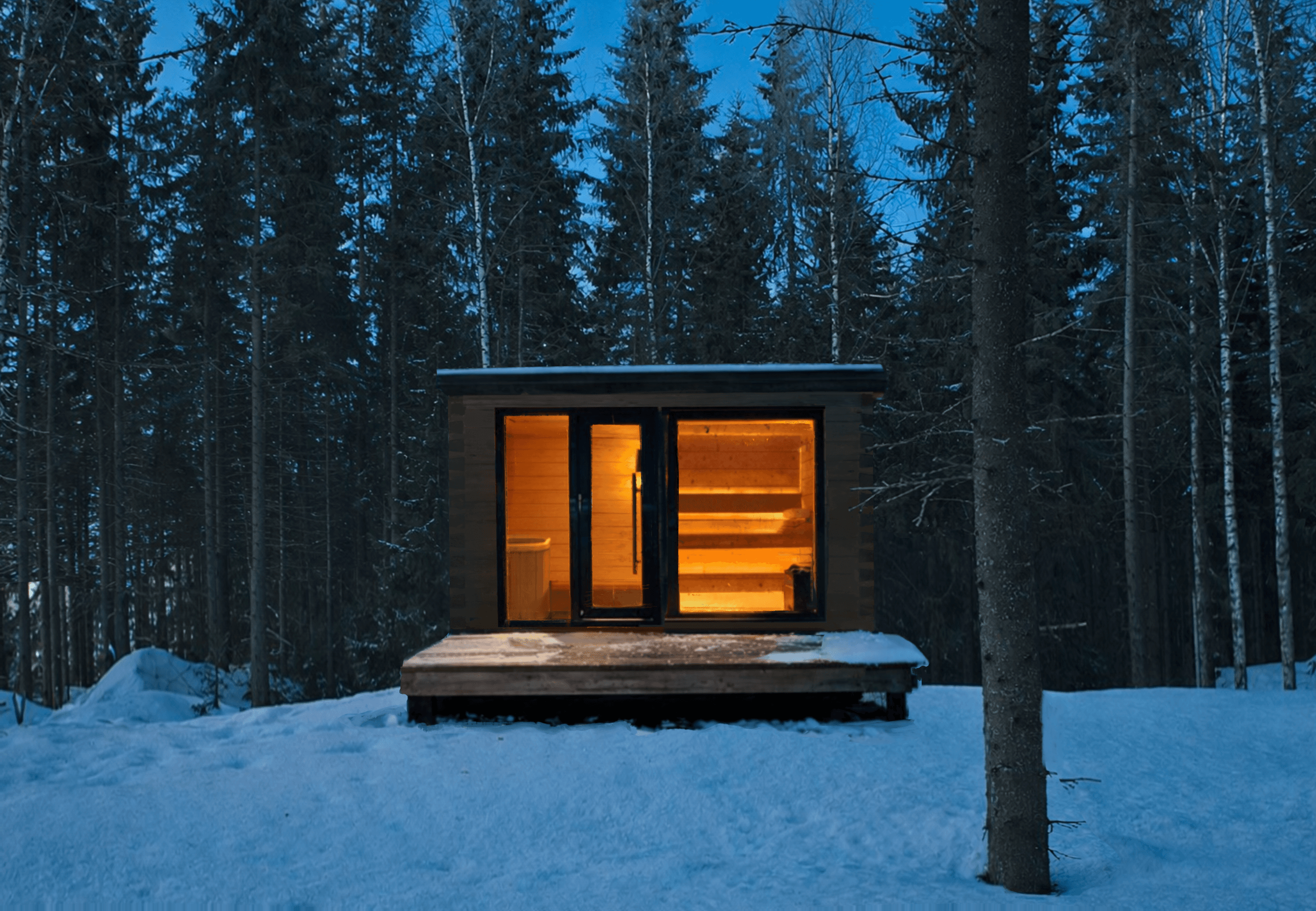 Holm — lit from within. Winter in the birch forest